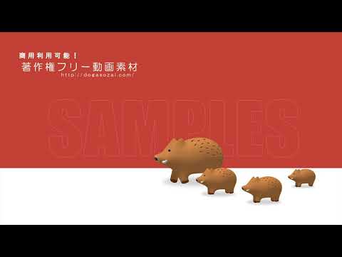 著作権フリー動画素材／商用利用可能／いのしし歩く1