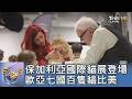 保加利亞國際貓展登場 歐亞七國百隻貓比美｜FOCUS午間新聞 20260605 @tvbsfocus