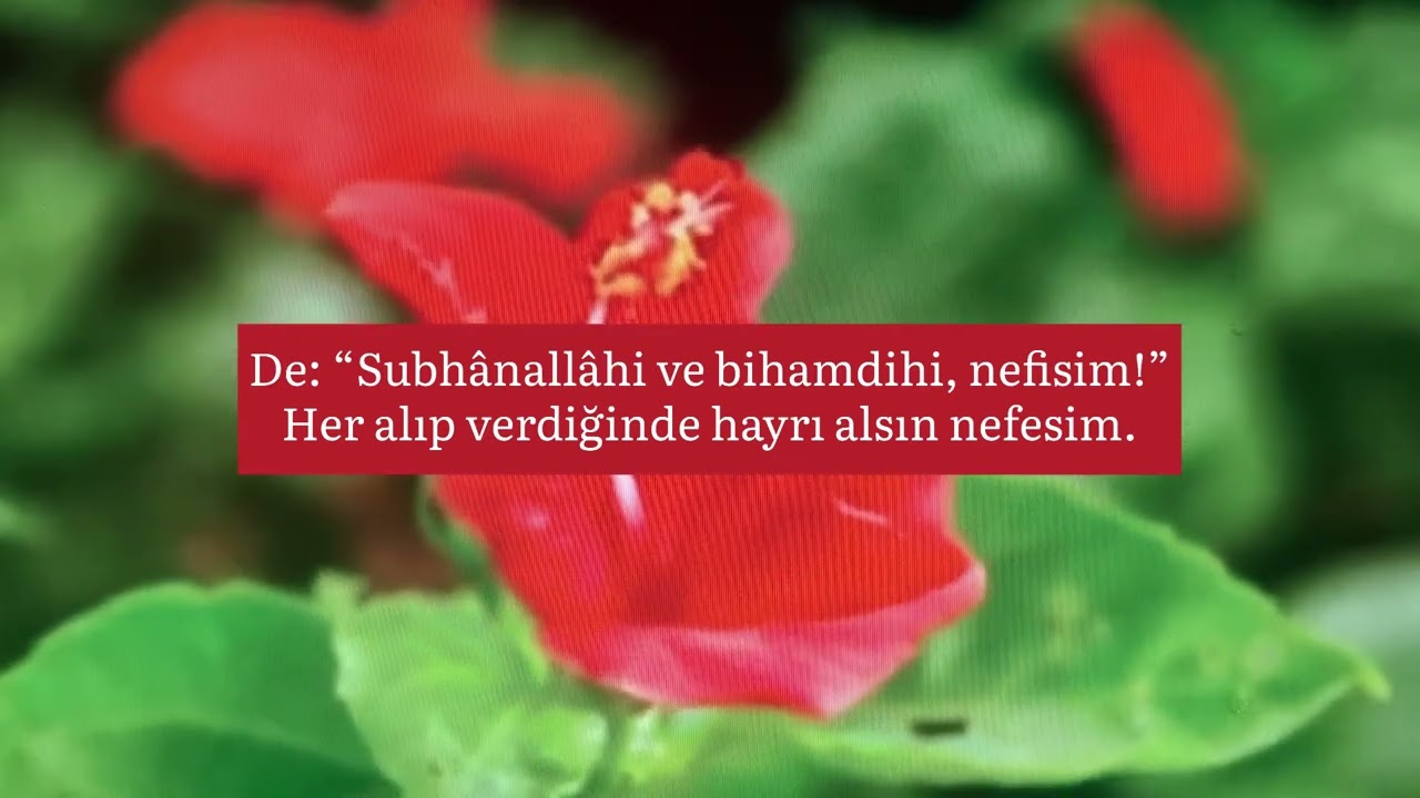 Ya Rabbi Aşkım İle Geldim Sana