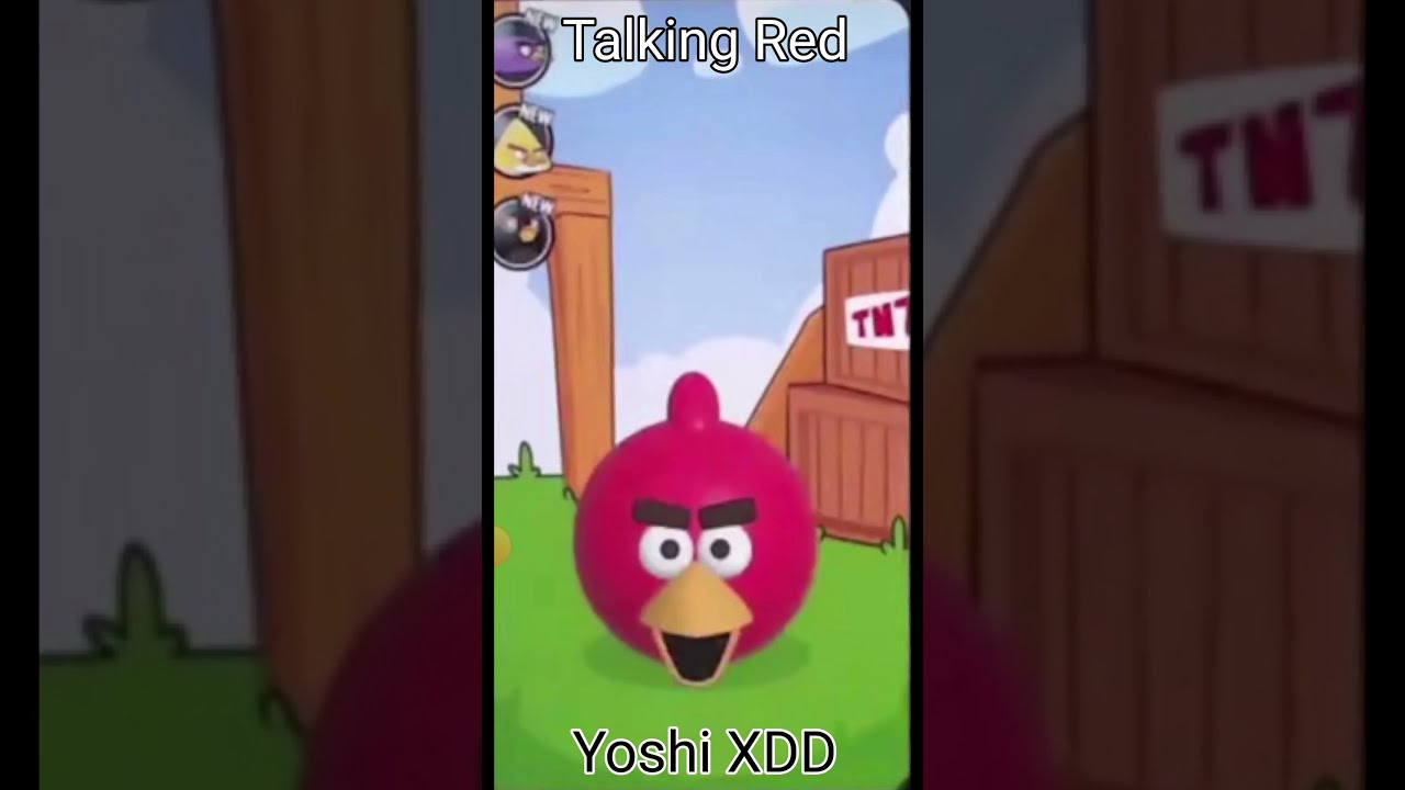 Talking Red You Stupid Ni Shorts