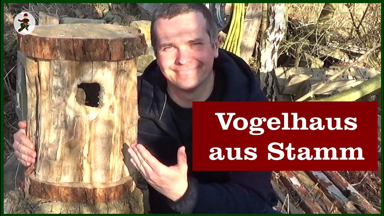 Vogelhaus bauen aus Baumstamm