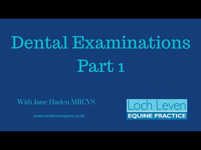 Dental Examinations & the Importance of Sedation Part 1