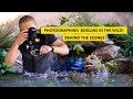 Toy Photography: Photographing Boglins In The Wild