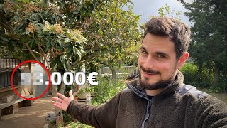 Cuanto COSTÓ mi Finca Rural y como la Compré