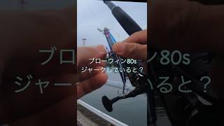 ブローウィン80sジャーク練習#釣り #fishing #シーバス #blueblue #シーバス釣り #ブローウィン
