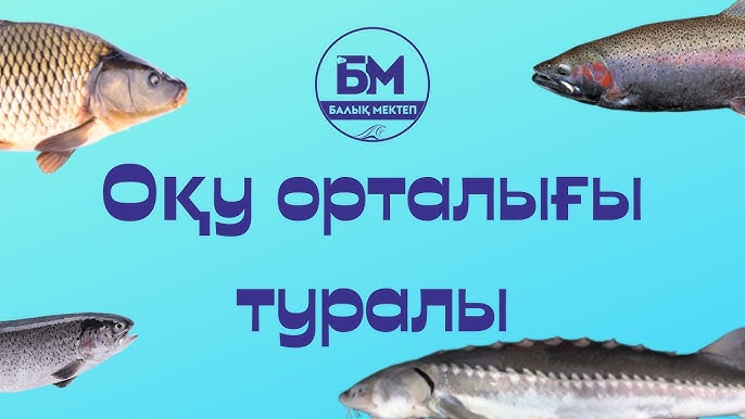 Жыныстық қатынастағы қыздардың бітіру кешіндегі жасырын камера