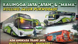 KALINGGA JAYA 'AYAH' DAN 'MAMA' ROLLING MENGISI JALUR PURWODADI