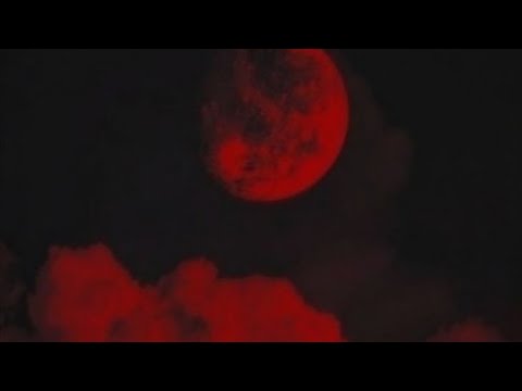 Ночь Кровавой Луны все части История с тортами