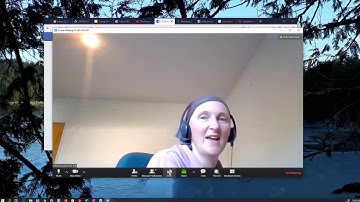 Zoom with polling and breakout rooms
