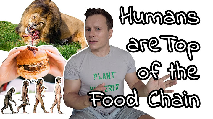 Why human on top of foodchain and still being eaten
