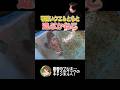 可愛いクエ&トラと遊ぶかねこ