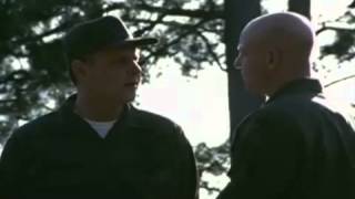 TIGERLAND Official Trailer!