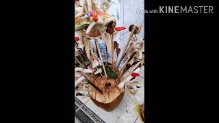 dangsil bebangkit dan dangsil pregembal (denkayu version)