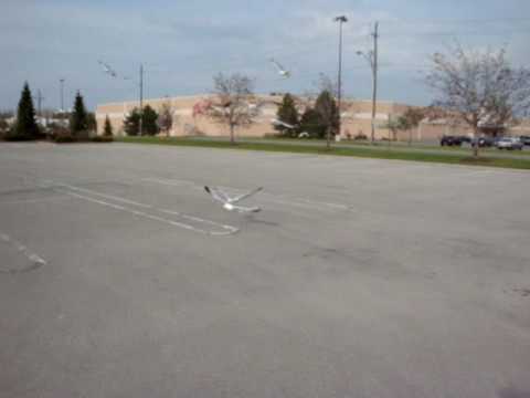 Angry Birds