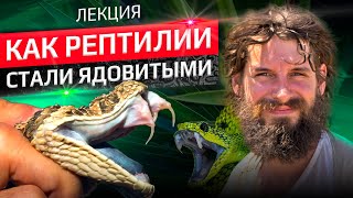 видео: Когда рептилии стали ядовитыми? Леонид Неймарк картинка: Когда рептилии стали ядовитыми? Леонид Неймарк