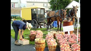 Belleville Sale with Good Day PA