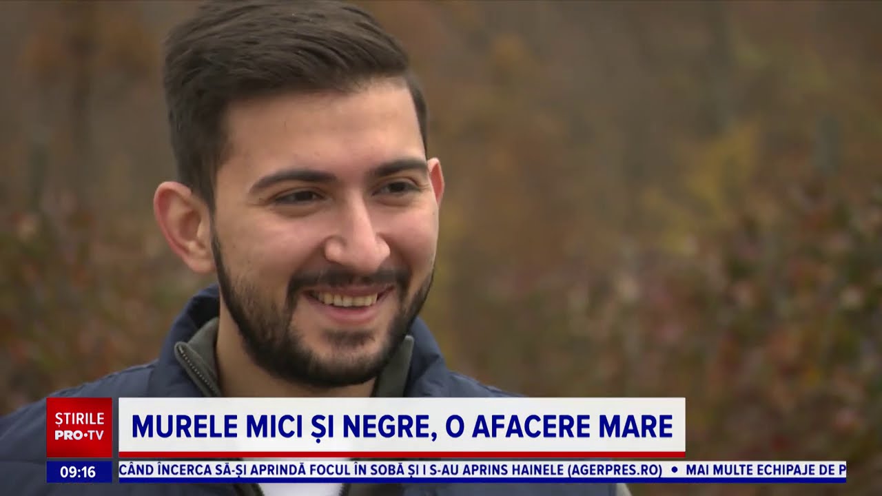 Antreprenor de succes, la 25 de ani. Povestea celui mai mare cultivator de mure din județul Gorj