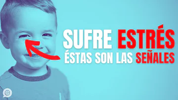 ¿Cuáles son los signos de estrés en un niño de 2 años?