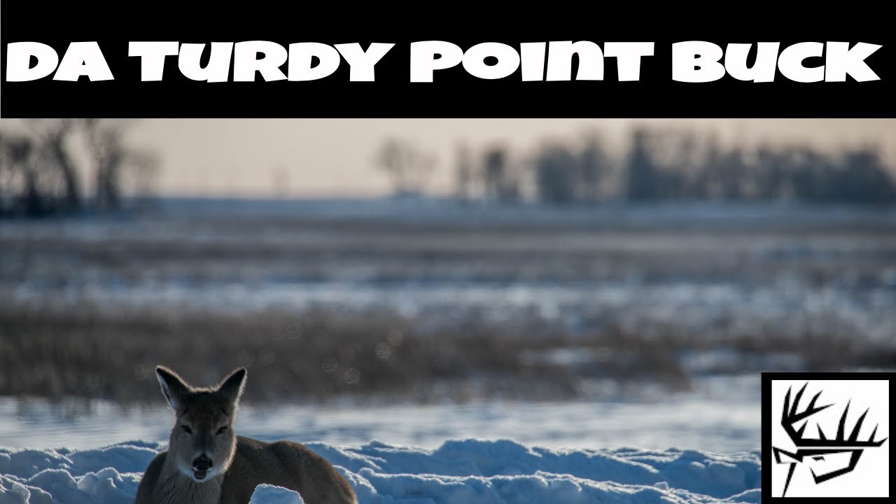 Da Turdy Point Buck The Breaking Point Edition YouTube