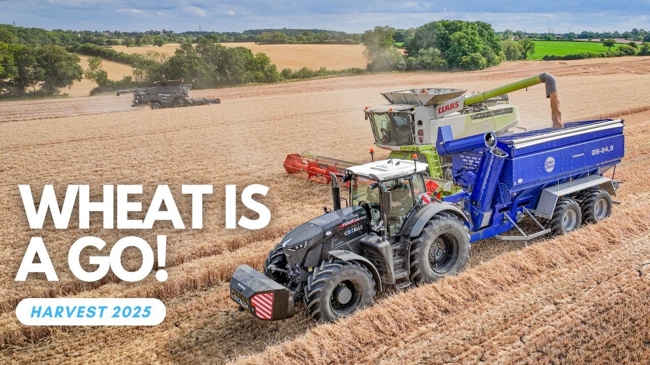 WHEAT IS A GO! | Yield Update & The Chaser Bin Is Out!