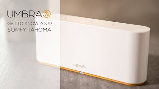 Get to Know Your Somfy TaHoma | UMBRA