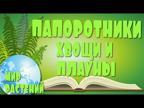 Папоротники хвощи и плауны. Высшие споровые растения