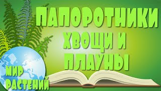 Папоротники Хвощи И Плауны. Высшие Споровые Растения