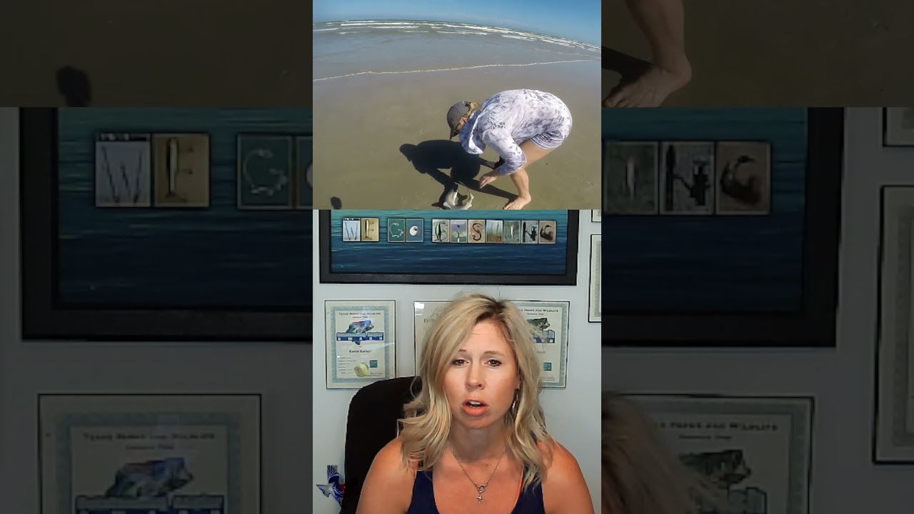 Report:  Feds Slammed For Fishing Report Failure 