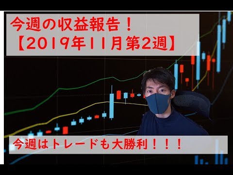 【投資】今週の収益報告！確定拠出年金の金融機関選びは非常に大事【2019年11月第2週】