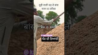 turi Stores #trolly competition #tralikhichmukable #tractortochanvidios #ganvkilifestyle