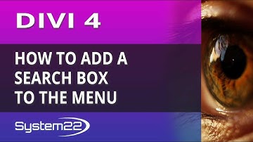 Divi 4 How To Add A Search Box To The Menu