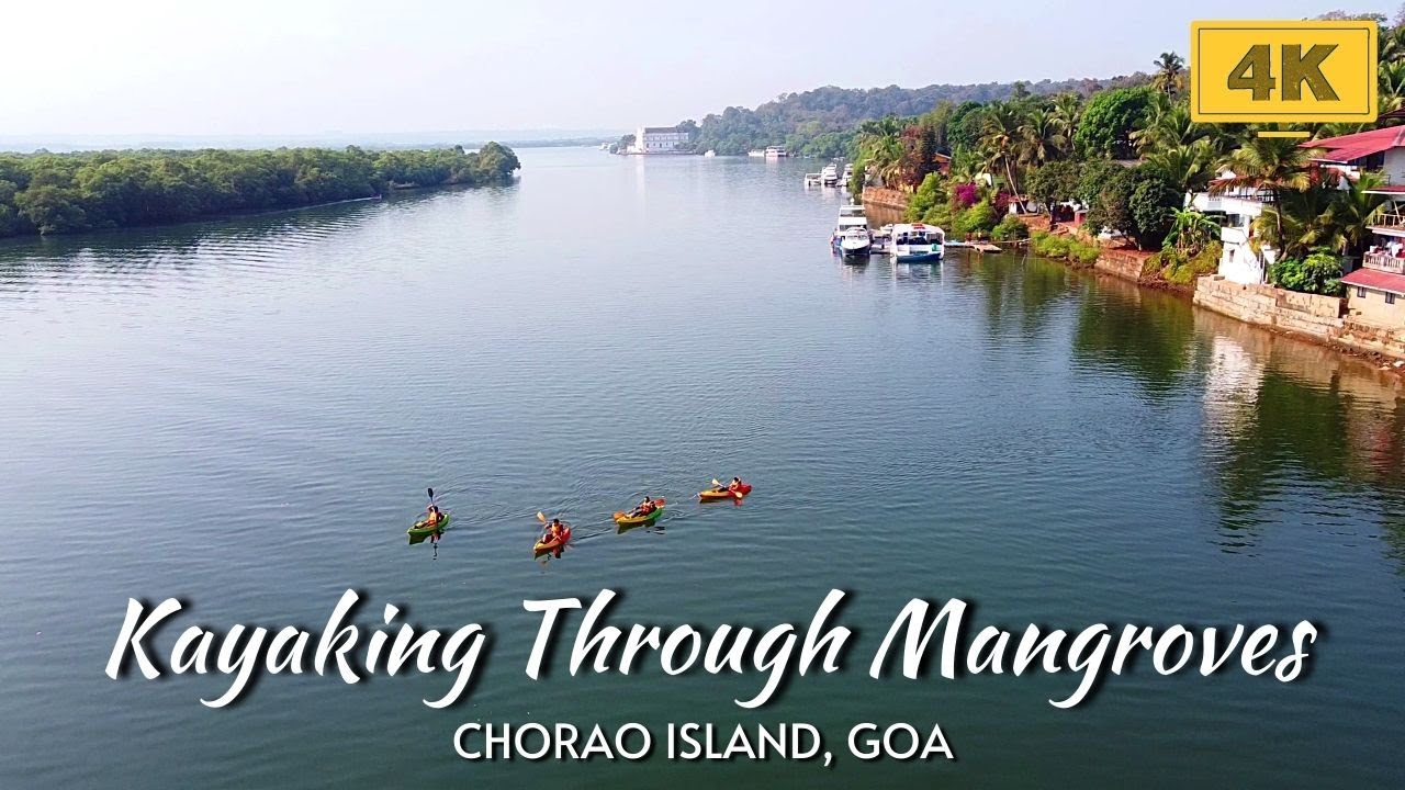 Kayaking through Mangroves of Chorao Island- 4K Goa Virtual Experience | Feb 2021