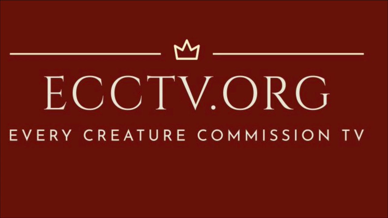 ECCTV LIVESTREAM - PENTECOSTAL HOLINESS CHURCH