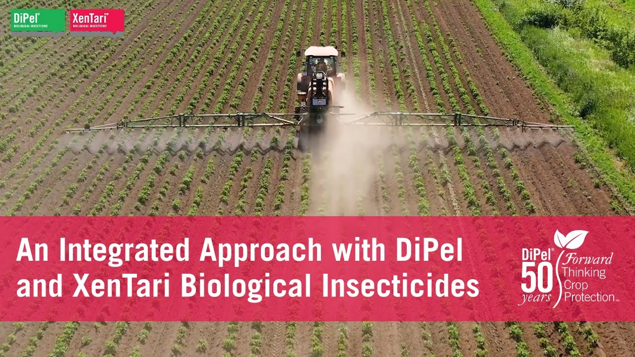 An Integrated Approach with DiPel and XenTari Biological Insecticides ...