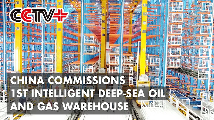 China Commissions First Intelligent Deep-Sea Oil and Gas Warehouse in Hainan - DayDayNews