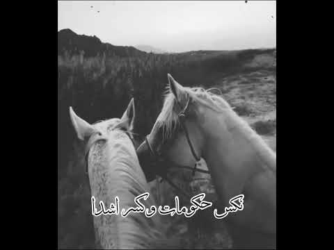 الحب مايعرف علي بن محمد 