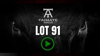 Lot 91 - TAIMATE ANGUS 2025