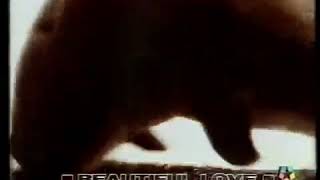 Watch Julian Cope Beautiful Love video