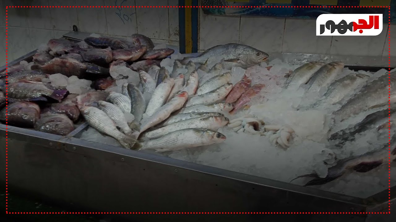 أسعار الأسماك اليوم من سوق سليمان جوهر بالدقي