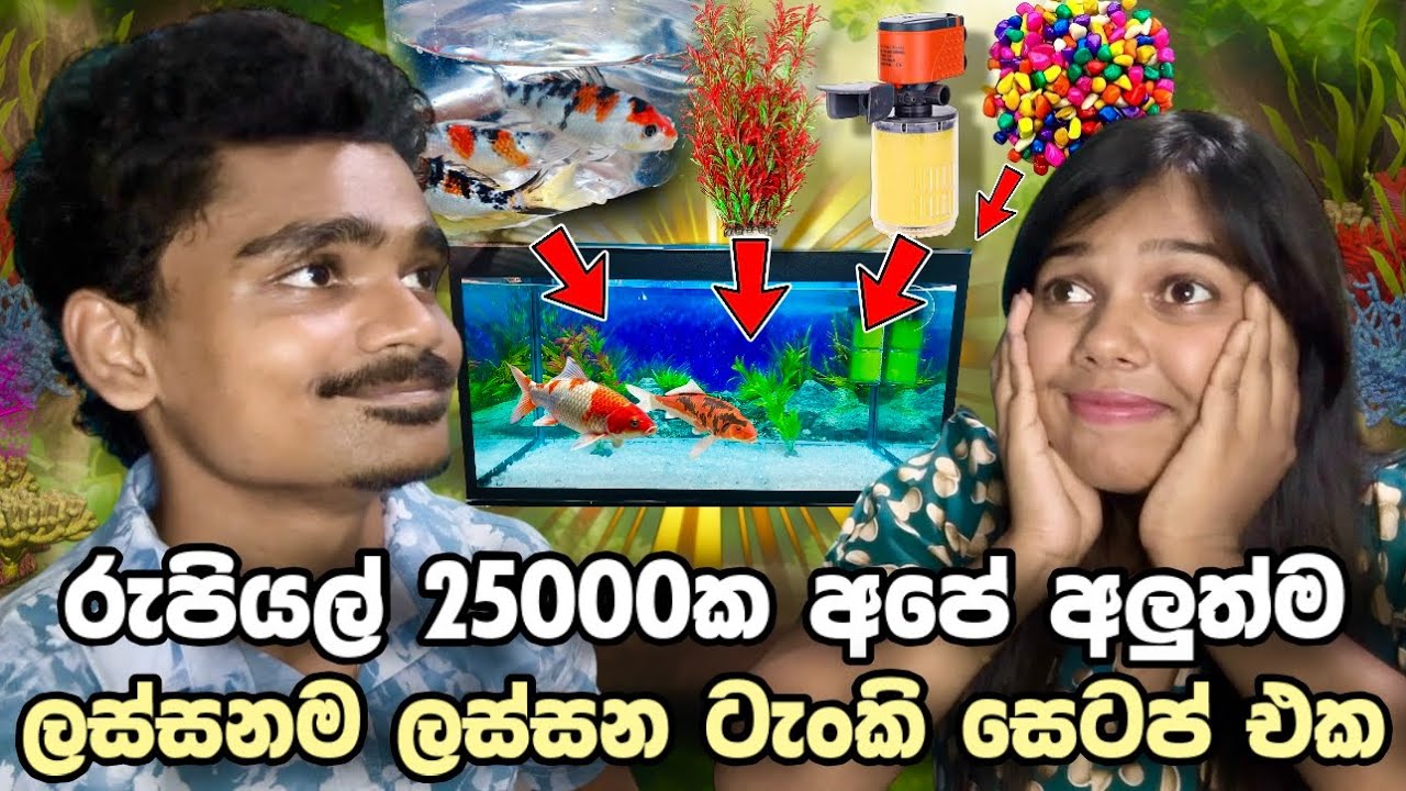 අපේ ලොකුම ලස්සන Tank Setup එක | අපි හිතුවට වඩා ගොඩක් ලස්සන වුනා මේක | Fish Tank Setup