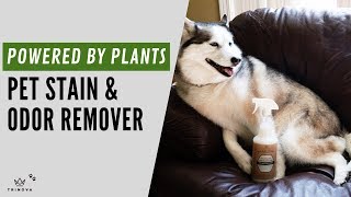 100% NATURAL AND ORGANIC PET CLEANER | TRINOVA