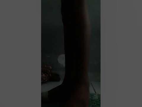 #териантропия - YouTube