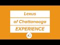 Client spotlight lexus of chattanooga