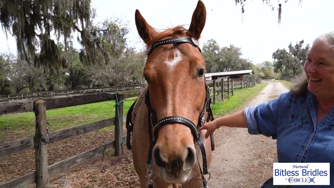 Nurtural Bridle Fitting 2022