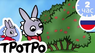 ТРОТРО - 🍓Тротро хочет сладкого🍒 - Сборка #36