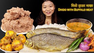 Eating Trout Fish🐟Dhido With Yum & Buffalo Meat Curry, Fish Curry, Nepali Mukbang, Eating Show