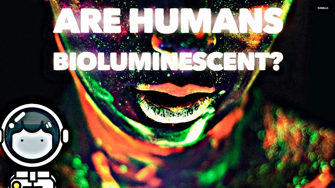 Are Humans Bioluminescent? 💫