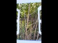 Photography can be done this way