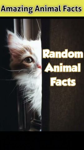 Amazing facts about animals | #ytshort #amazingfacts #facts - YouTube