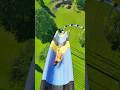 POV: You Are Not Ready For This Waterslide!😱